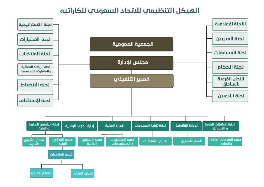 الهيكل التنظيمي 